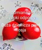 Pomidor Rosja karłowy plenny czołówka świata - 5