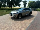 Lexus NX 300 AWD 2.0 Benzyna 235 KM ful opcja Niski przebieg - 15