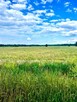 Działka rolna Kotorydz gm. Tarczyn - 6