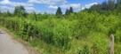 Działka budowlana Tarczyn - 2