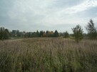 Działka rolno-budowlana Zatyki gm. Gołdap - 3