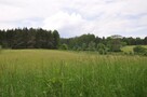 Działka rolno-budowlana - 10