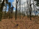 Działka leśna Grądzkie gm. Wydminy - 5