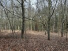 Działka leśna Grądzkie gm. Wydminy - 6