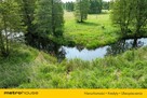 Działka z linią brzegową rzeki Pisy - 2