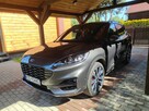 Ford Kuga pług in 2023r - 3