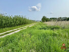 Działka inwestycyjna Nowodworce gm. Wasilków, - 2