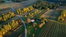Siedlisko 1,78 ha w Witoszynie - 7
