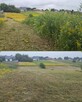 Koszenie nieużytków, trawy, karczowanie, kosiarka bijakowa, - 15
