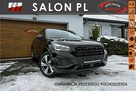 Audi Q2 serwis ASO - 1