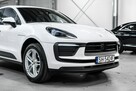 Porsche Macan 2.0 265KM. Tempomat Adaptacyjny. Pakiet skórzany. PASM. Białe tarcze. - 11