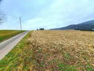 Działka widokowa 41,89 ar z warunkami zabudowy Srogów Grn. - 6