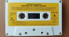 Wonderful Melodies: Growing Up - Going Steady Epic/Sony kase - 8