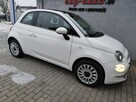 Fiat 500 I wł. Lift Tablet Nawigacja Panorama Ładny Gwarancja - 13