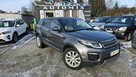 Land Rover Range Rover Evoque 4X4,2.0 D150KM, FULLOpcja,Igła ,Możliwa zamiana,GWARANCJA- AUTOMI-X.PL - 5