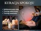 Odnowa psychobiologiczna/ Terapie manualne/ konsultacje - 3