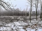 Teren inwestycyjny 6,95 HA – 16 działek – GMINA DŁUTÓW - 6