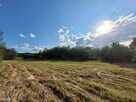 Działka rolna Masłów Masłów Drugi - 4