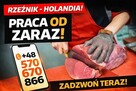 Pracownik rozbioru wołowiny/wykrawacz /trybowacz – Holandia