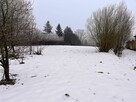 Teren inwestycyjny 6,95 HA – 16 działek – GMINA DŁUTÓW - 3