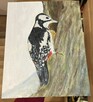 Strażnik lasu – dzięcioł, obraz olejny 24×30 ręcznie malo - 10