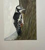 Strażnik lasu – dzięcioł, obraz olejny 24×30 ręcznie malo - 4
