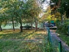 Sprzedam: Ogródek Działkowy w ROD „Bajki”, Borowska, Wrocław - 11