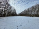 Działka rolna Wójtowa gm. Lipinki - 5