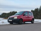 Fiata Panda 1.1 2008 rok - 3