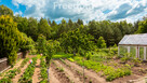 Cząstkowo - Dwa domy w cenie jednego- przy lesie ! - 6