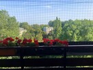 Mieszkanie Kraków - 9