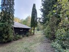 Piękna działka z domkiem Adamów- Wieś - 2