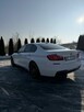 BMW F10 530d xDrive - 2