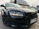 Audi A3 LIFT, Klimatronic 2-stref, Nawigacja, Bluetooth, Ele szyby 4x - 5