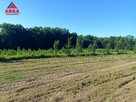 Działka rolna Sadek gm. Jodłownik - 4