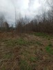 4 działki rolne oraz leśna. Łączna powierzchnia 3116 m2 - 11