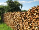 Drewno opałowe/kominkowe w rozsądnej cenie Lidbark - 7