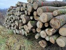 Drewno kominkowe opałowe Karwica - 7