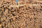 Drewno opałowe/kominkowe w rozsądnej cenie Nidzica - 4