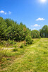 Atrakcyjna działka budowlana 3600 m² - Groszowice - 4