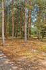 Atrakcyjna działka budowlana 3600 m² - Groszowice - 5