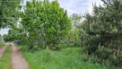 Działka inwestycyjna Myrcha gm. Wiśniew, - 8