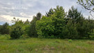 Działka inwestycyjna Myrcha gm. Wiśniew, - 4
