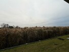 Mieszkanie Lesznowola - 5