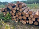 Drewno kominkowe opałowe Jaroty - 2