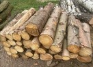 Drewno opałowe/kominkowe w rozsądnej cenie Nidzica - 2