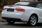 Audi A5 Zarejestrowane 2.0TDI 190KM Serwis Bi-xenon Navi B&O Grz.fotele - 13