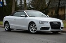 Audi A5 Zarejestrowane 2.0TDI 190KM Serwis Bi-xenon Navi B&O Grz.fotele - 16