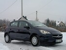 Opel Corsa 1.2 | Benzyna | 5drzwi | Polski salon | Pełna historia ASO | FV23% - 12