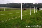 Equisafe Polska - ogrodzenia elektryczne dla koni - 7